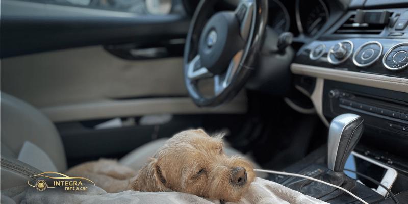 Idei pentru calatorii: Cum ar fi sa dormi intr-o masina inchiriata